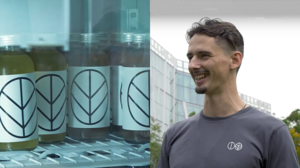 The vital role of business incubators The NUS MBA